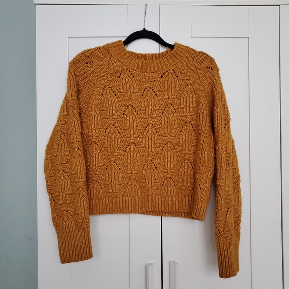 Zara Sweaters - Zara Chunky Sweater (medium)